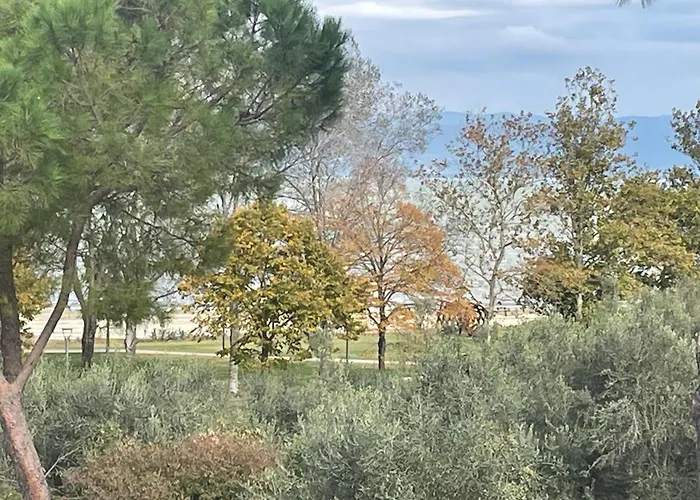 Appartamento Le Margherite