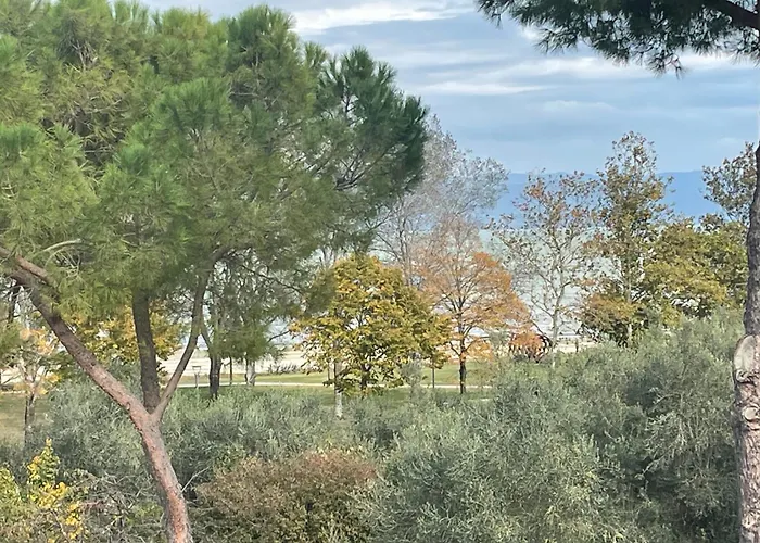 Le Margherite * Castiglione del Lago