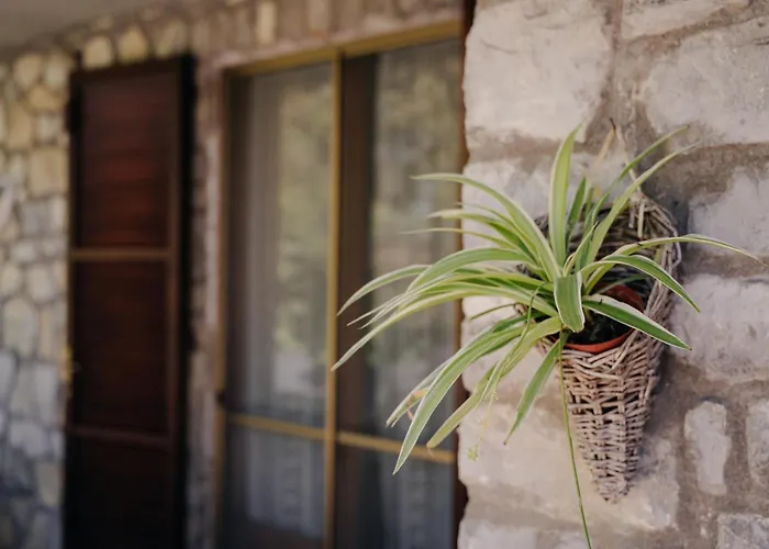 Appartamento Le Margherite